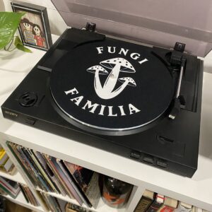 Turntable slipmat